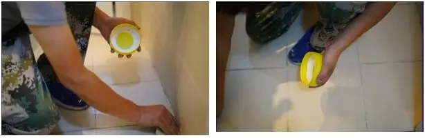 2.webp.jpg